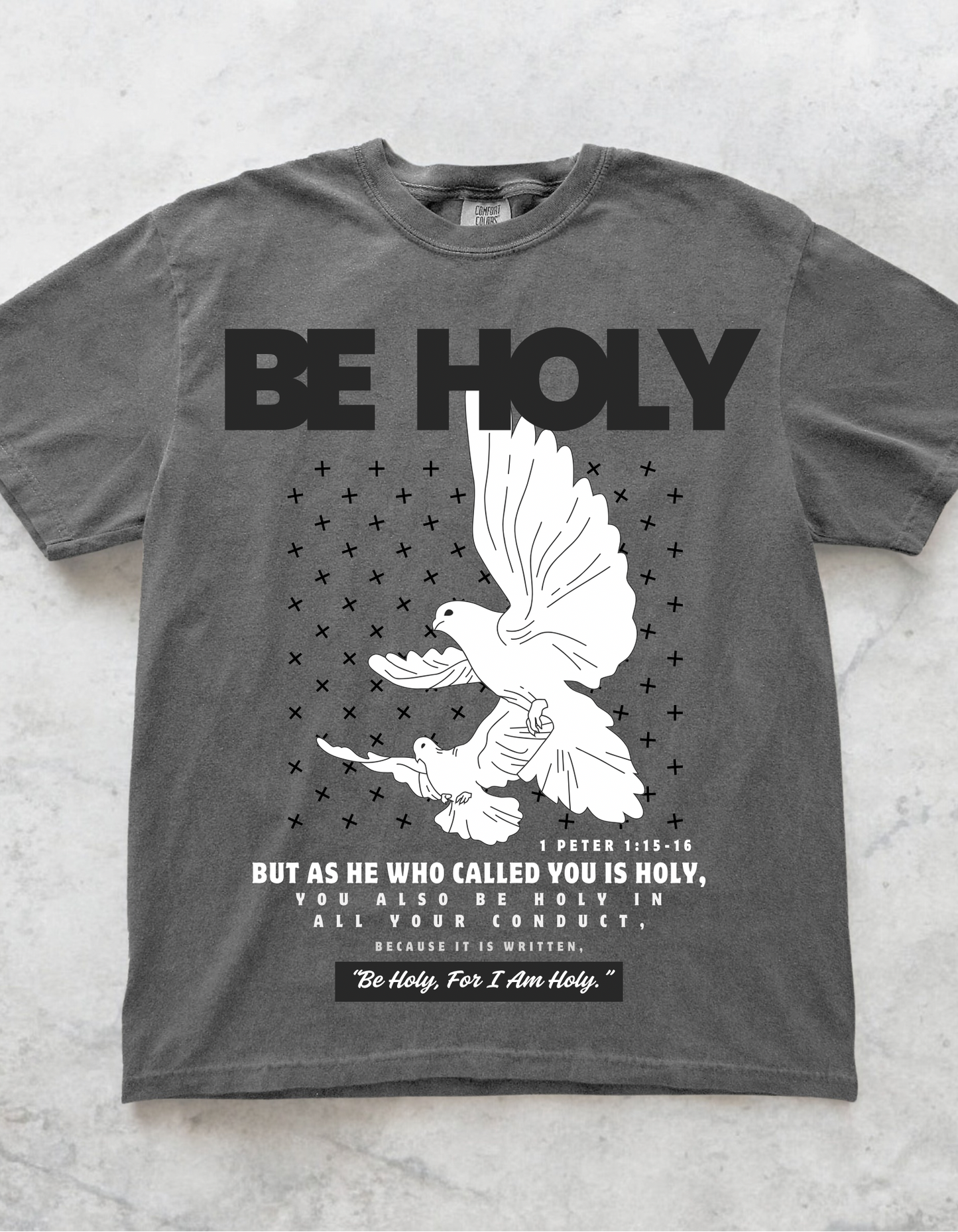 BE HOLY UNISEX TEEN/ADULT T-SHIRT